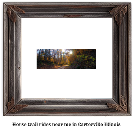 horse trail rides near me in Carterville, Illinois